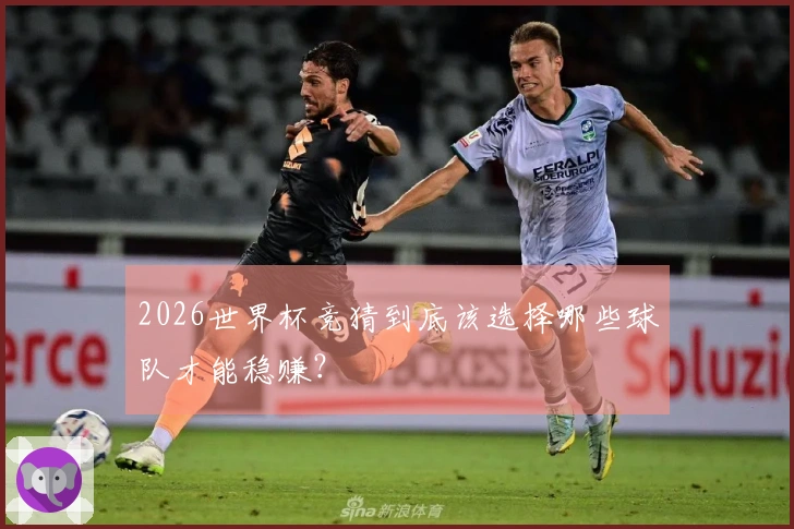 2026世界杯竞猜到底该选择哪些球队才能稳赚？