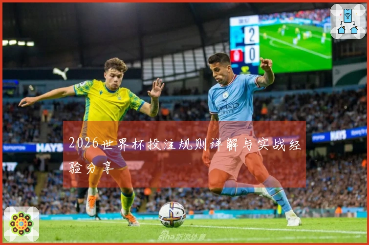 2026世界杯投注规则详解与实战经验分享