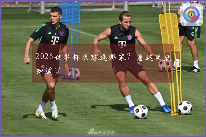 2026世界杯买球选哪家？看这里就知道了