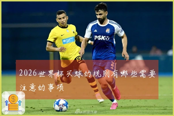 2026世界杯买球的规则有哪些需要注意的事项