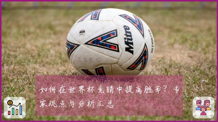 如何在世界杯竞猜中提高胜率？专家观点与分析汇总