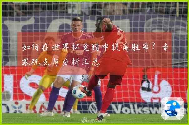 如何在世界杯竞猜中提高胜率？专家观点与分析汇总