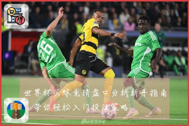 世界杯买球竞猜盘口分析新手指南，带你轻松入门投注策略
